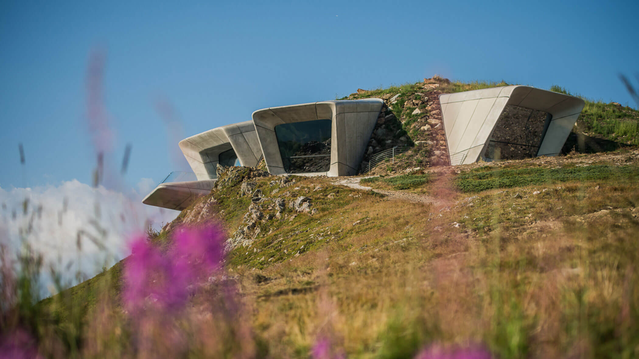 Ein futuristisches Gebäude mit kantigen Fenstern, das in einen grasbewachsenen Hang eingebettet ist, im Vordergrund sind Wildblumen zu sehen. - Lantl Deluxe Apartments
